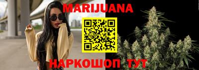 Альфа ПВП Гусев