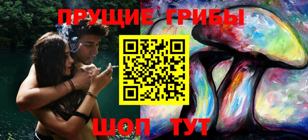 Псилоцибиновые грибы Cubensis Новоалександровск